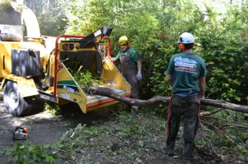 tree services Monument Hills